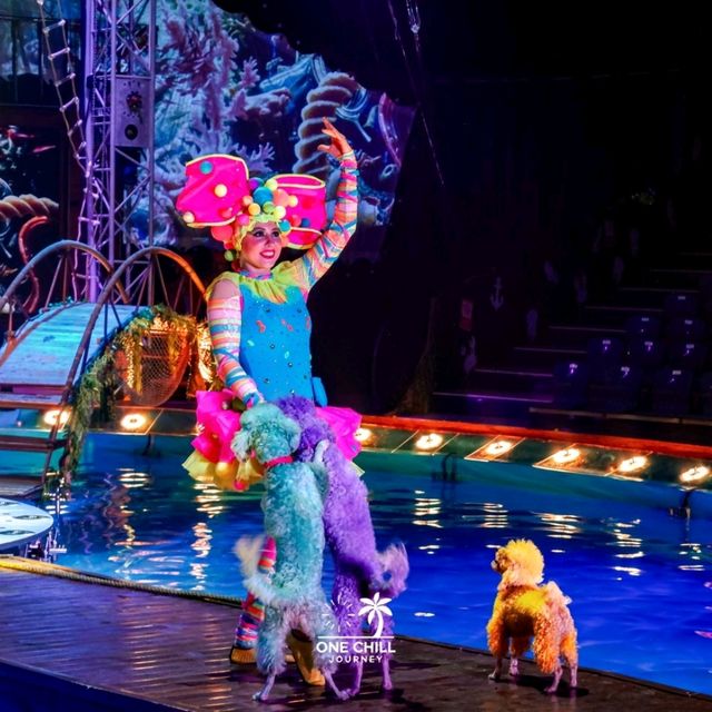 Aqua Circus Phuket