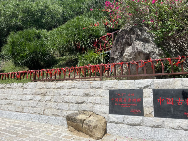 三亞必去五A景區——大小洞天 三亞必去五A景區——大小洞天