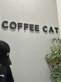 Coffee Cat House in JB