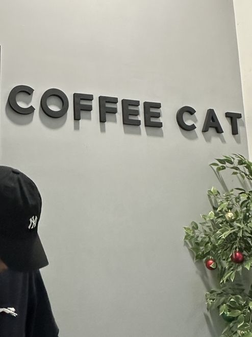Coffee Cat House in JB
