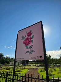 해외여행 부에노스아이레스의 장미공원 El Rosedal Garden
