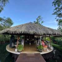 คาเฟ่ในสวน @ อัมพวา