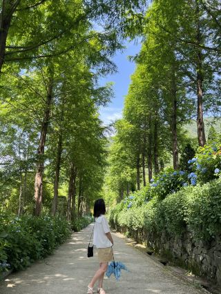 Review of Grace Garden in Goseong