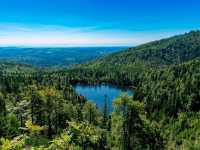 Bavarian Forest National Park – Germany’s First Wilderness Sanctuary