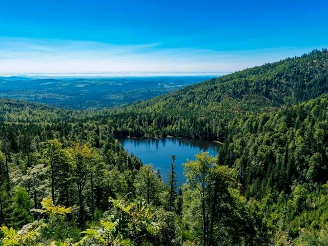 Bavarian Forest National Park – Germany’s First Wilderness Sanctuary