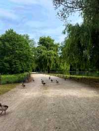 English Garden – Munich’s Green Heartbeat