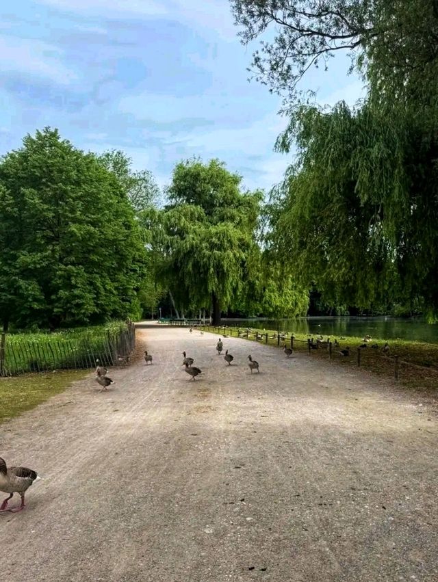 English Garden – Munich’s Green Heartbeat