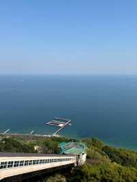 【須磨浦山上遊園で楽しむ藤の花と絶景🌸✨】