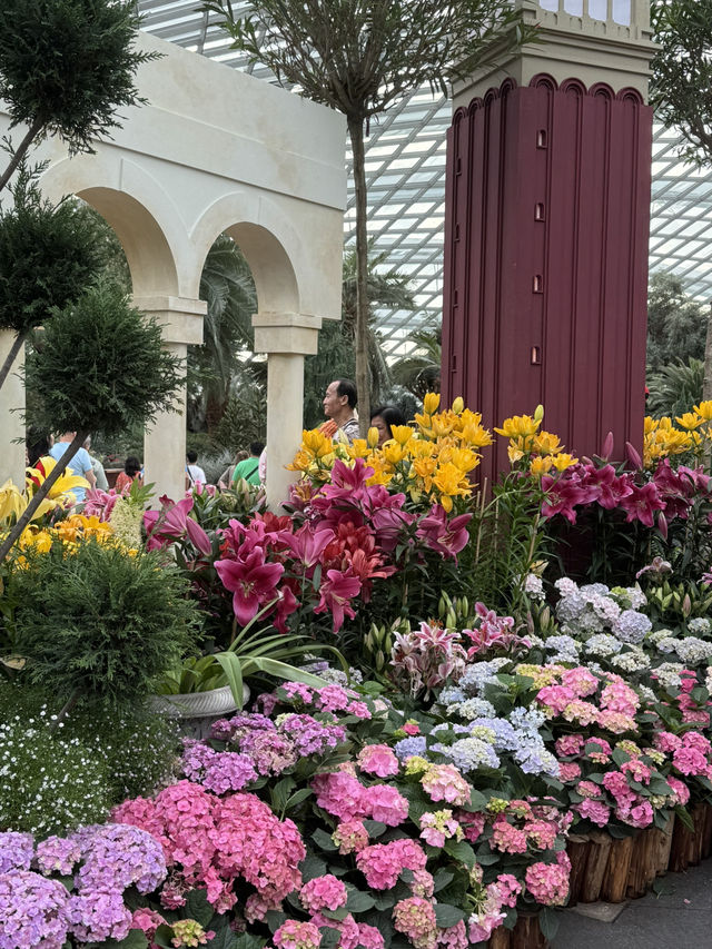 Flower Dome💐🌸🌺🌻
