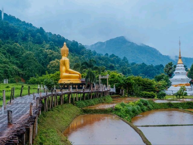 🌧️ วัดนาคูหา — เสน่ห์ฝนและหมอกในหุบเขา 🌧️