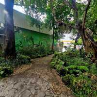 คาเฟ่สวนสวยในปั๊มน้ำมัน • FORTY-NINE เชียงใหม่