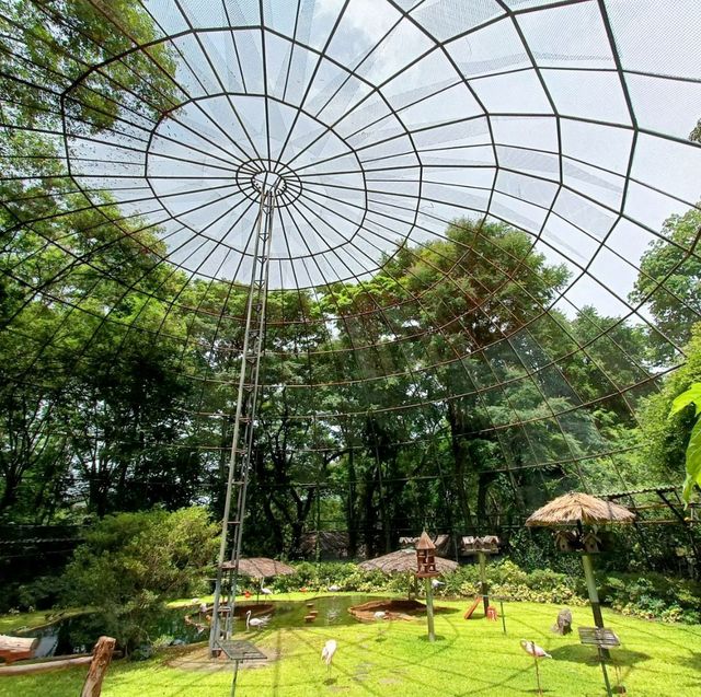 Bonanza Exotic park