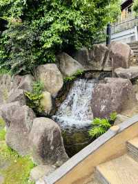 東京🇯🇵六郷用水の跡には錦鯉と緑がいっぱい🌿⟡.·お散歩に最適✌️ˊ˗