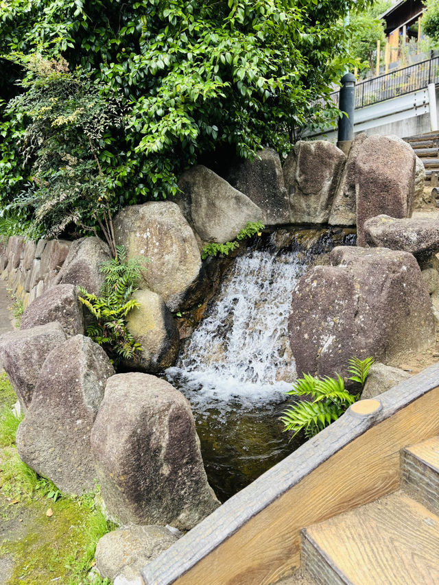 東京🇯🇵六郷用水の跡には錦鯉と緑がいっぱい🌿⟡.·お散歩に最適✌️ˊ˗