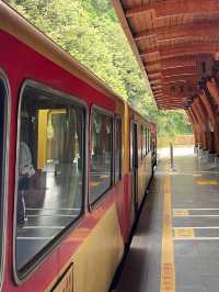 懷念的阿里山森林小火車