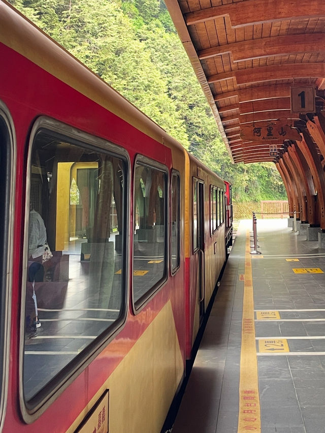 懷念的阿里山森林小火車