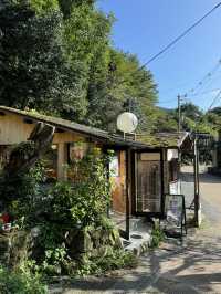 【京都🇯🇵】里山の風景を歩く静かな旅🚶🌳