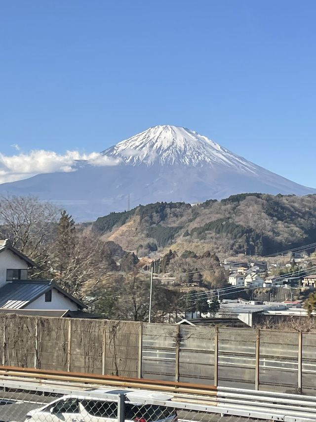 東京漫遊：新年的祝福與光影的詩篇