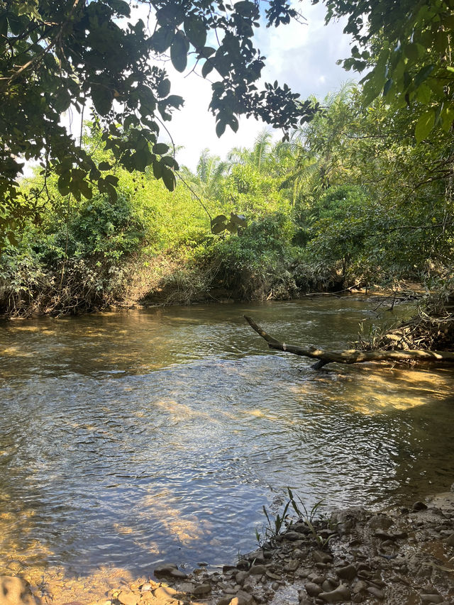 Glamping in Ranong