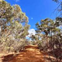Perth, Western Australia Hiking Recommendation: Walyunga National Park! 🌳🚶‍♀️
