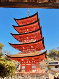 【広島】世界遺産厳島を旅する