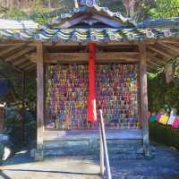 【京都】静かで鮮やかな寺院を参拝