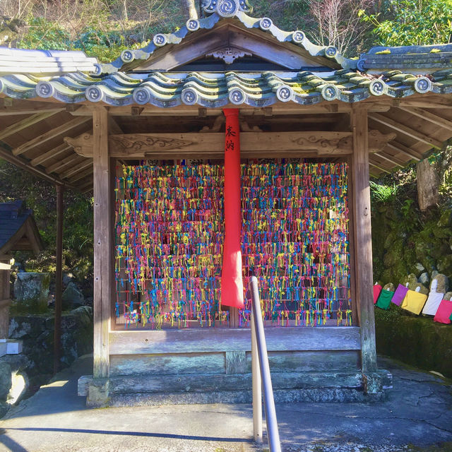 【京都】静かで鮮やかな寺院を参拝