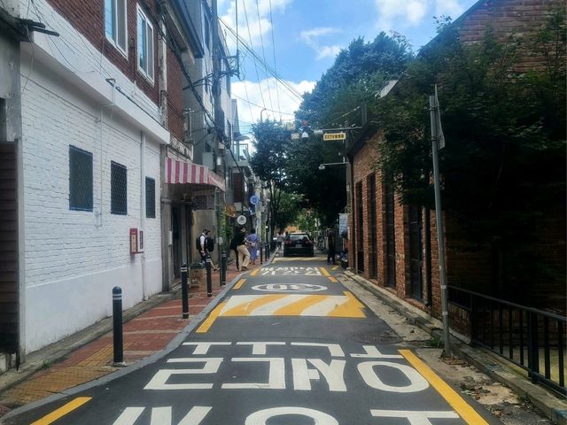 서울숲공원 (하늘 그리고 수국길)