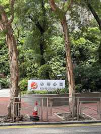 Hong Kong Park – A Lush Urban Sanctuary in Central