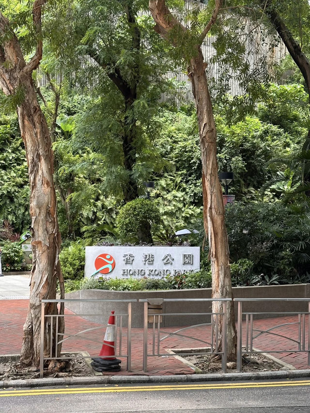 Hong Kong Park – A Lush Urban Sanctuary in Central