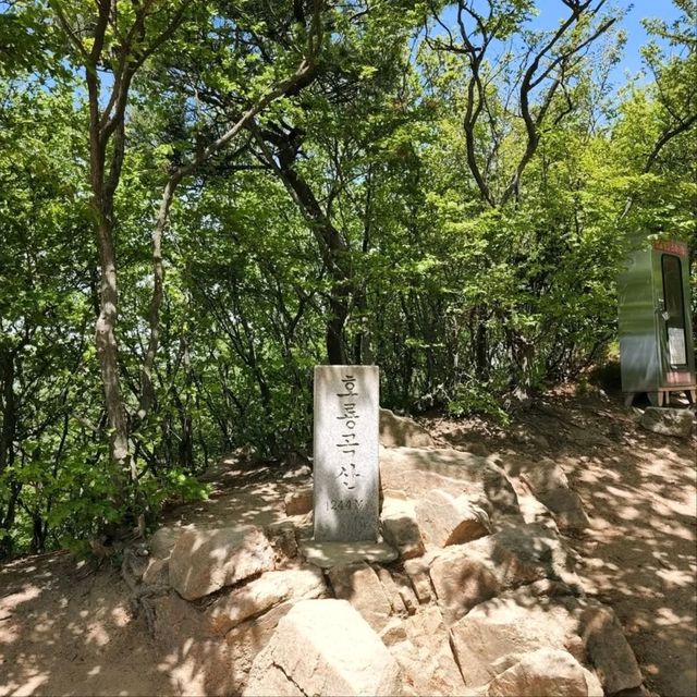 Horyonggoksan Gave Me Island Magic Vibes
