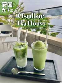 【🇰🇷安国】広々モダンカフェ🌿Osulloc Tea House🍵