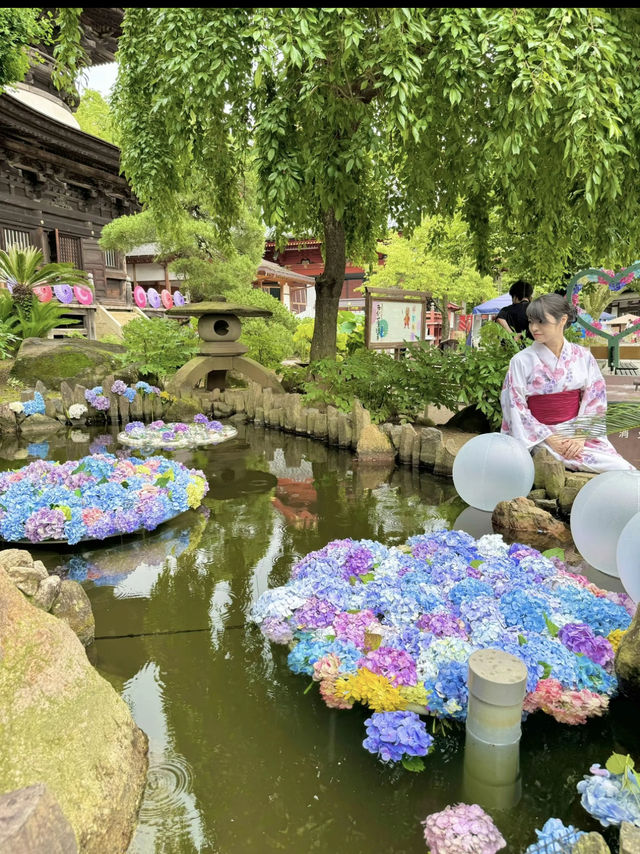 〜茨城県〜関東最大！涼を感じる絶景あじさいスポット!