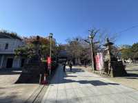Healing Stones & Flea Market Vibes: Discover Kawagoe’s Renkeiji Temple