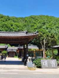 삼척산속 대궐같은 한옥에서  커피한잔 ☕️대궐카페
