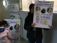 與企鵝🐧一起散步 ….登別 海洋公園 