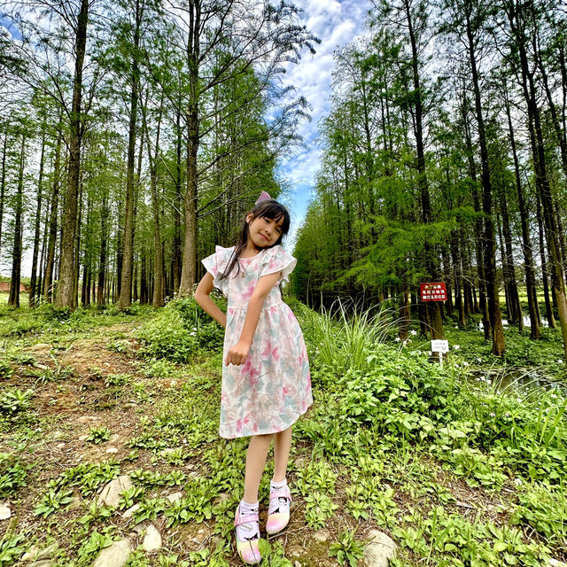 桃園🌿 楊梅一日小旅行｜免費拍照景點＋秘境體驗！