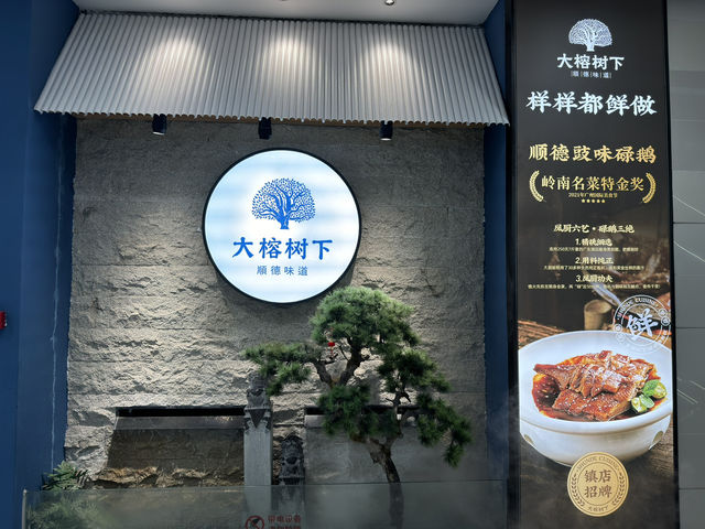 🍲 Shunde Flavours 大榕树下 Beneath the Big Banyan – A Hidden Gem in Tee Mall