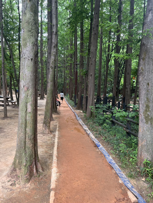 황톳길 공원