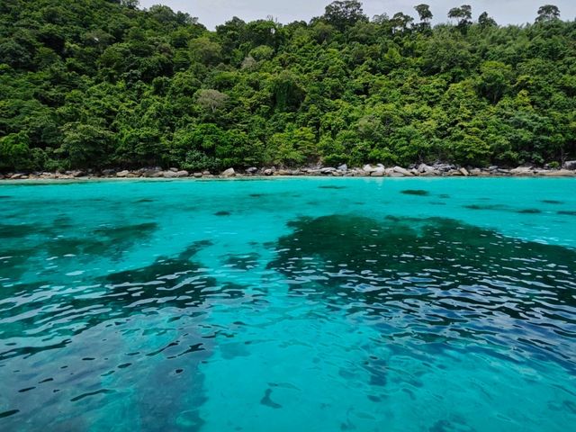 🌊【普吉潛水日記】潛入蔚藍，與大海約會！🐠  