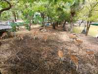 บ้านไร่รัตนคาเฟ่ ban rai rattana cafe 