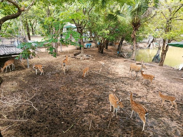 บ้านไร่รัตนคาเฟ่ ban rai rattana cafe 