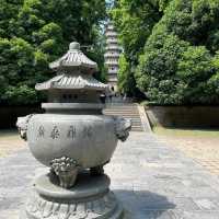 ⛰️ Nanjing Zhongshan Scenic Area – More Than Just 392 Steps 