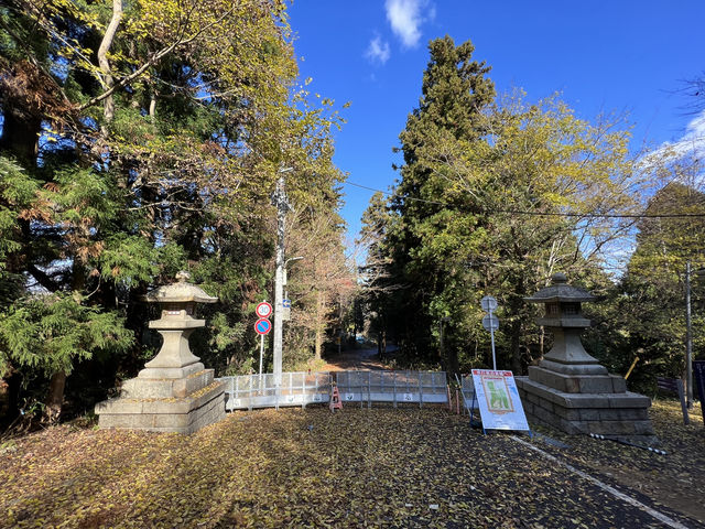 🍀 Review: Strolling Through History at Aobayama Park