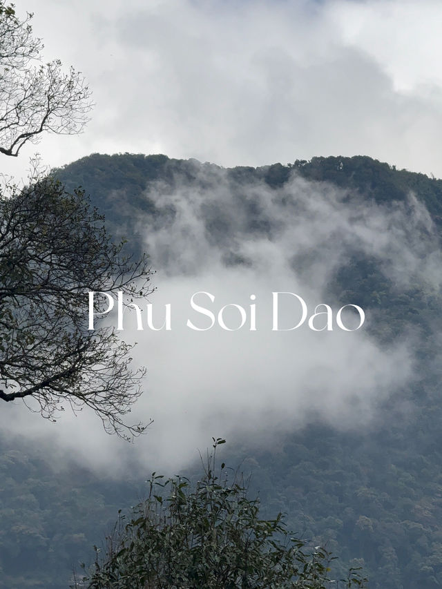เดินป่าภูสอยดาว เมื่อปลายปีแล้ว 🌿