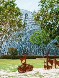 Rainforest Vibes Without the Flight at Geoje Jungle Dome