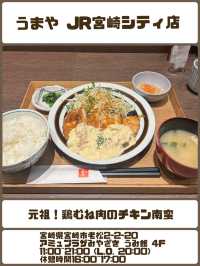 【宮崎】宮崎で食べた『チキン南蛮５選』