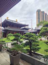 港都與世隔絕的蓮池淨土