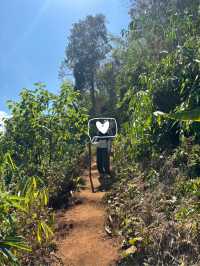ตาดตายิกเสือ น้ำตกใหญ่ที่ซ่อนอยู่ในป่า🌳