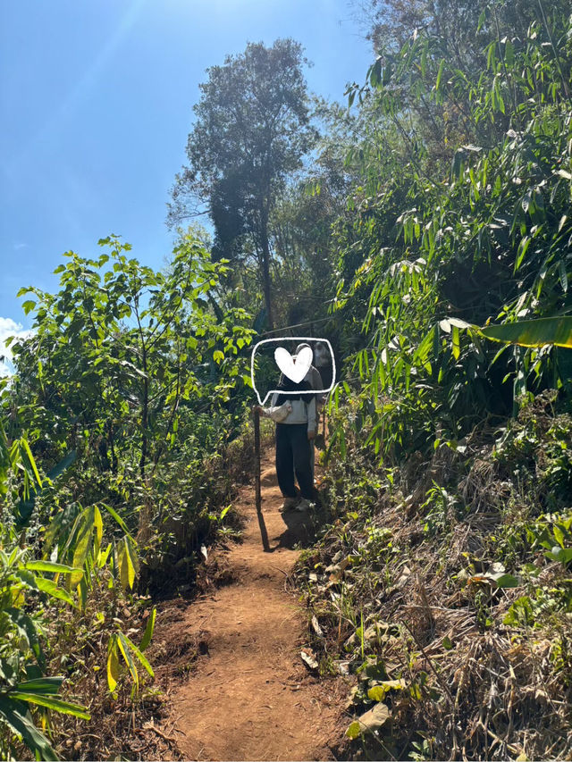 ตาดตายิกเสือ น้ำตกใหญ่ที่ซ่อนอยู่ในป่า🌳